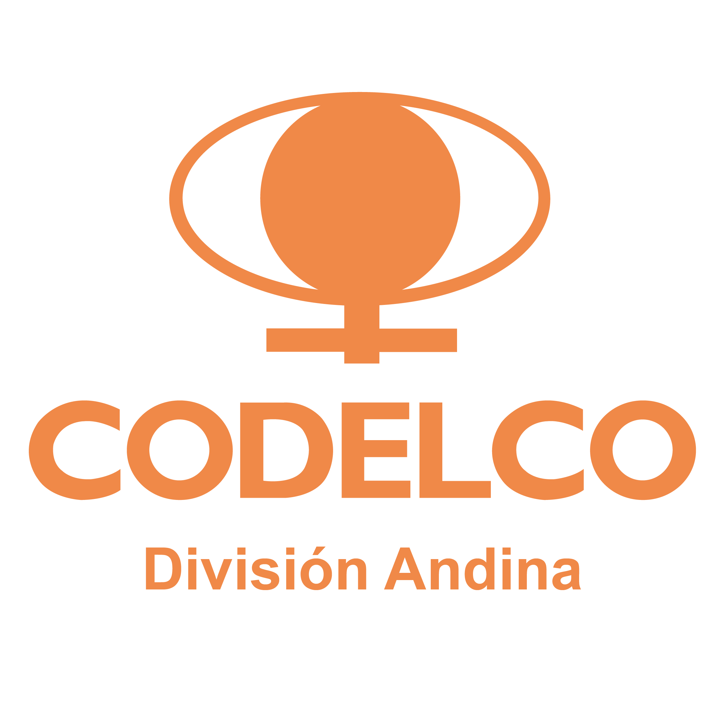 Codelco División Andina